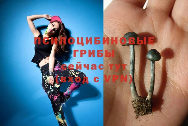 эйфоретик Медногорск