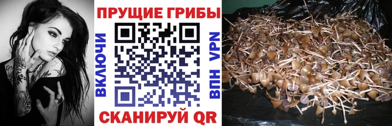 Галлюциногенные грибы MAGIC MUSHROOMS  Усолье-Сибирское 