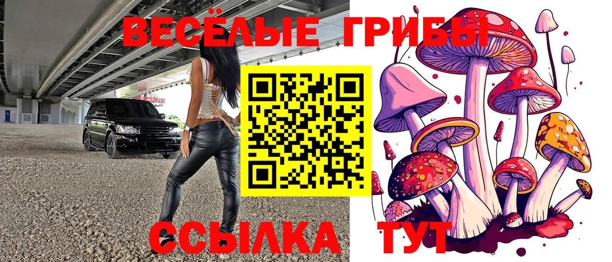 Усолье-Сибирское  Галлюциногенные грибы Cubensis  Вход с VPN 